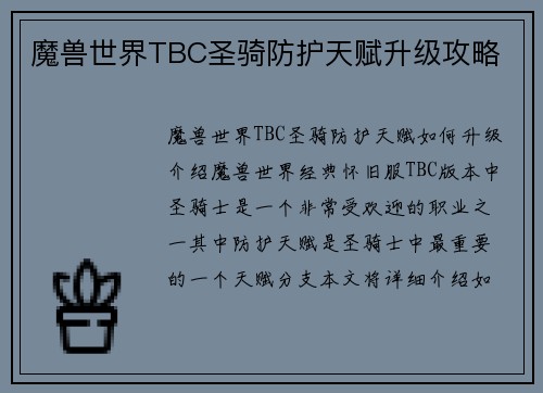 魔兽世界TBC圣骑防护天赋升级攻略